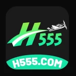 H555 Game